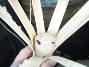 Sticky_rice_closeup_2
