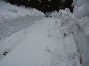 Unplowed_trail