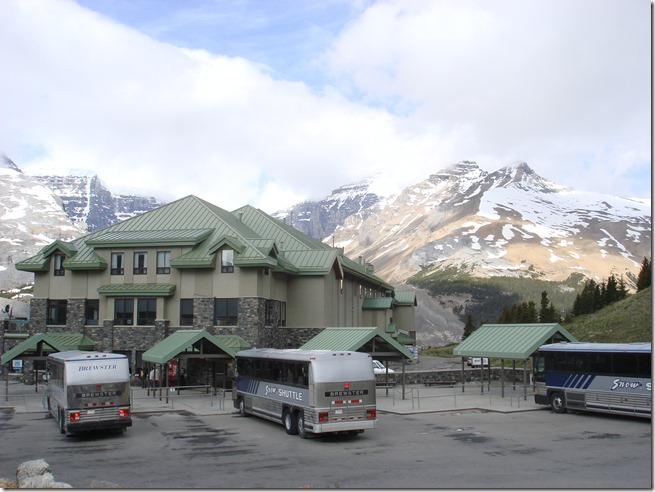 Columbia Icefield 049