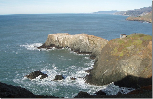 bird island