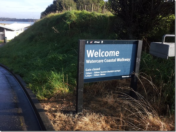Auckland Run-1
