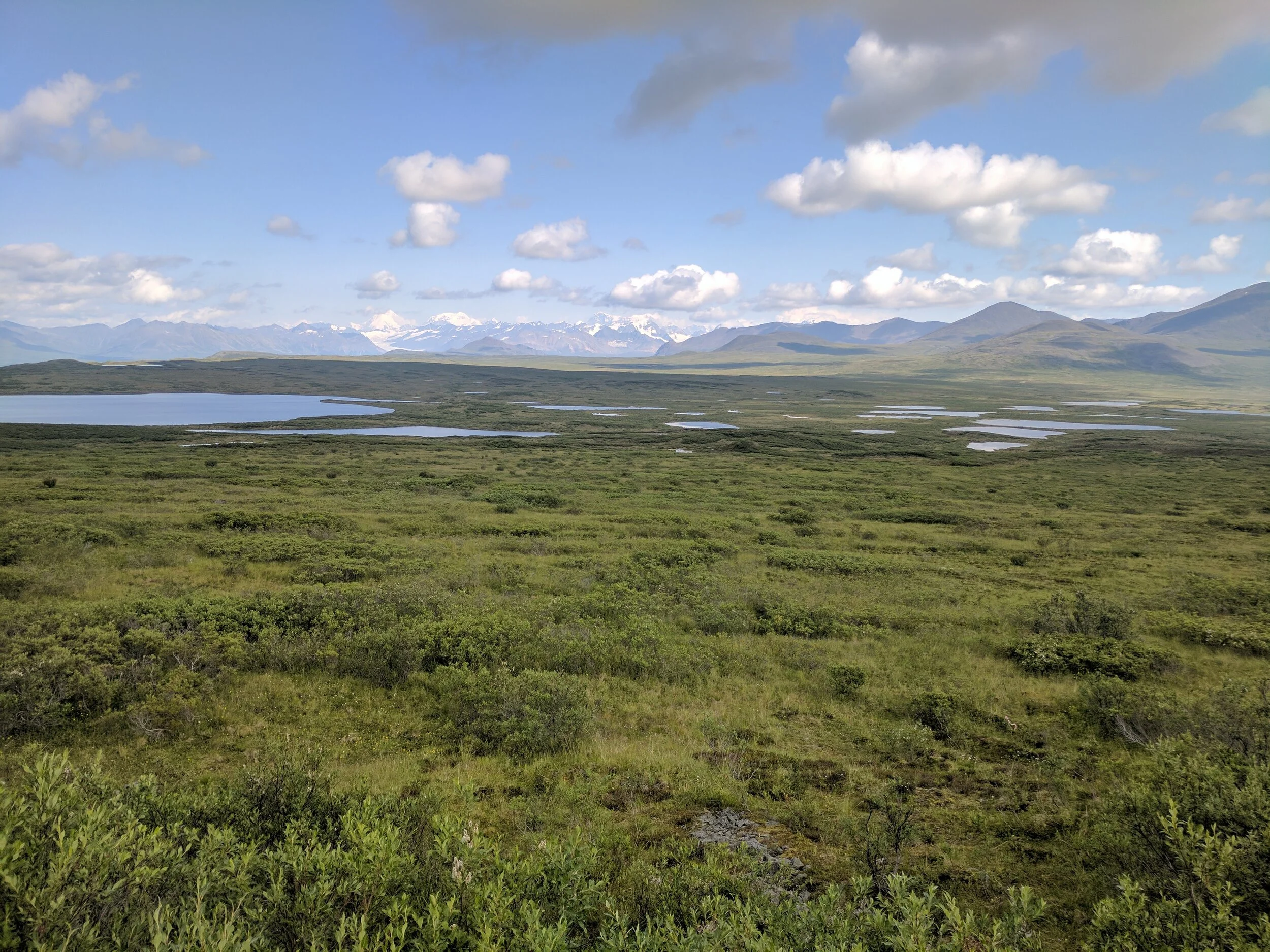  Maclaren Valley, east of Mt. Denali 
